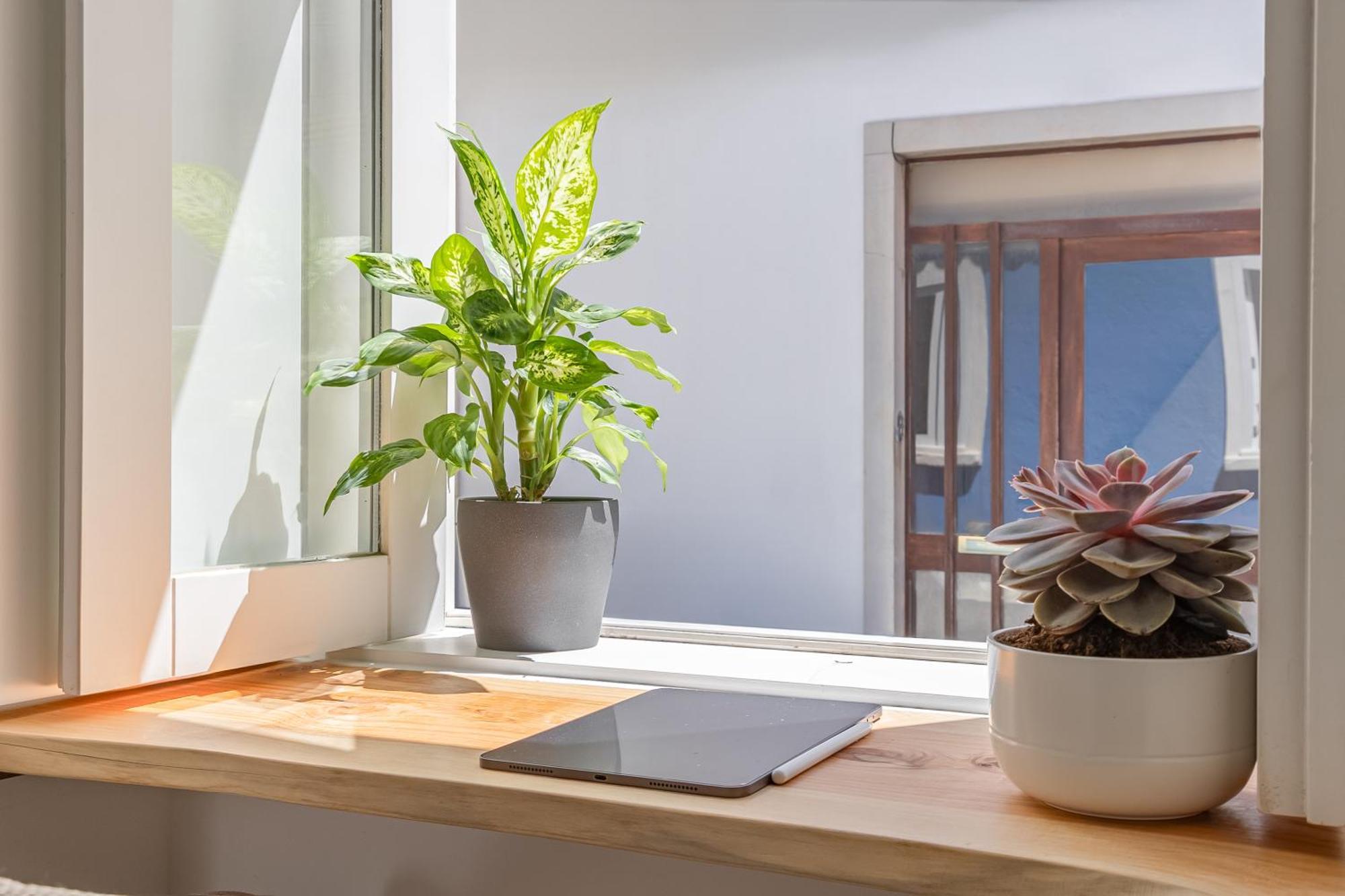 Casa Tamar Apartment Lagos Ngoại thất bức ảnh