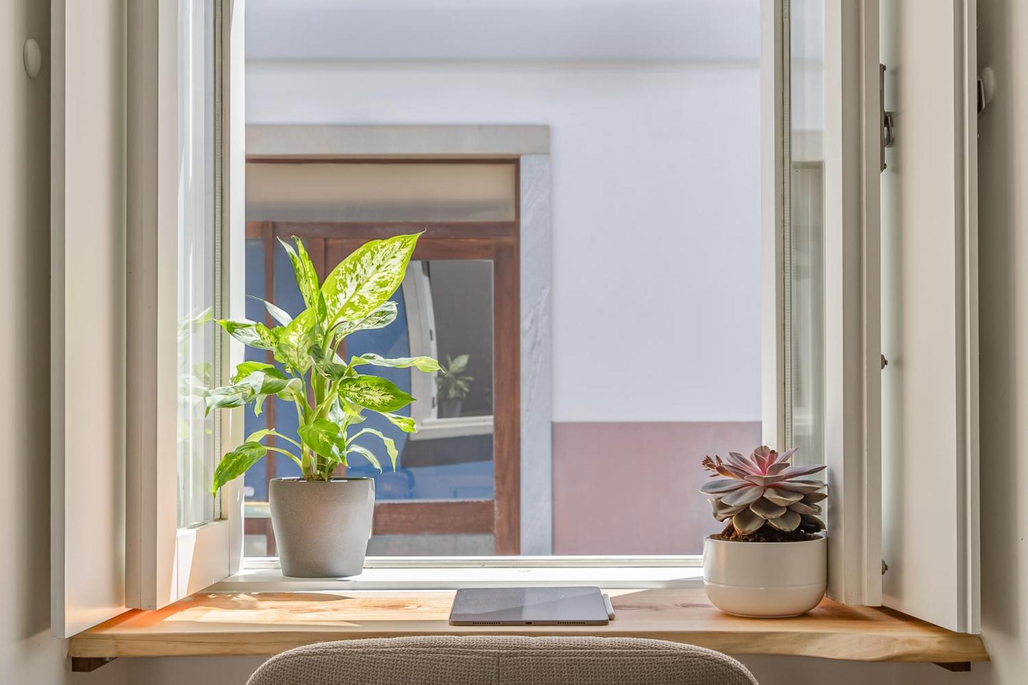 Casa Tamar Apartment Lagos Ngoại thất bức ảnh